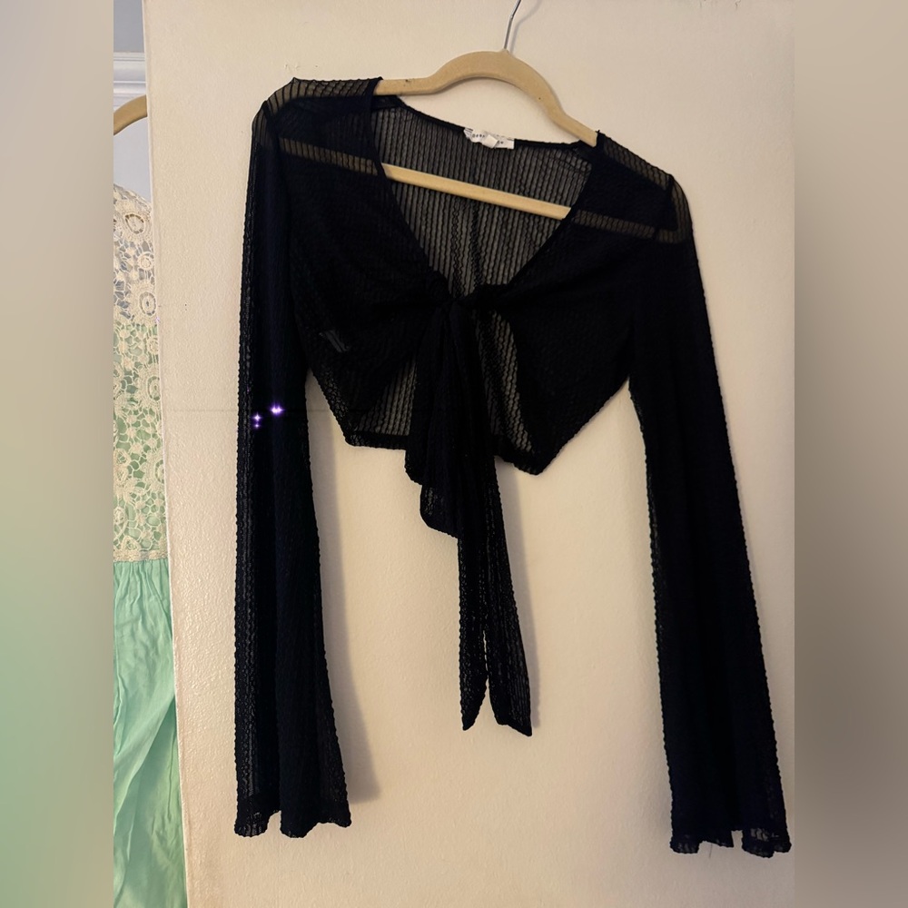 Bear Dance Black Lace Mesh crop top